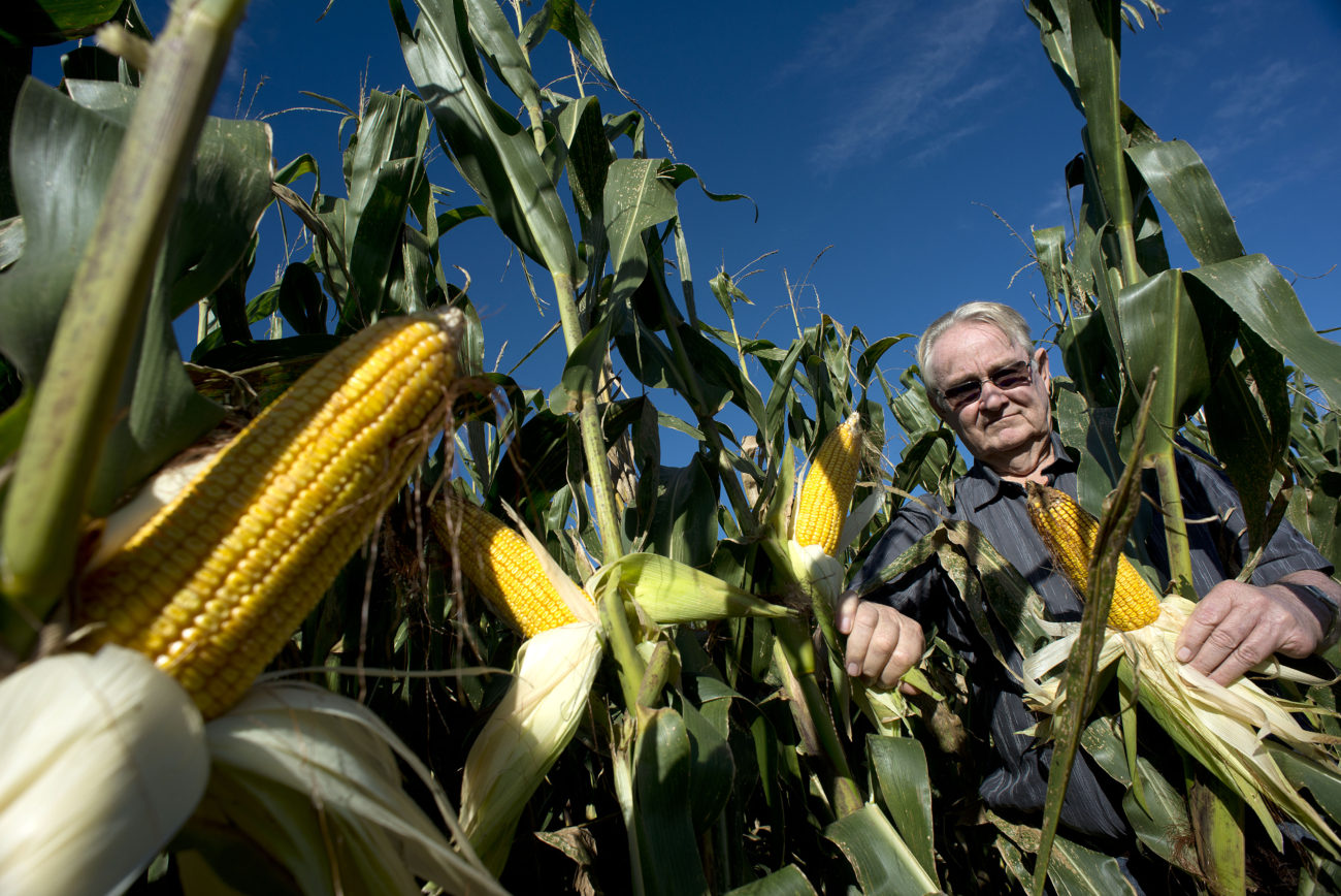 Plant Project Top Farmers Franke Dijkstra