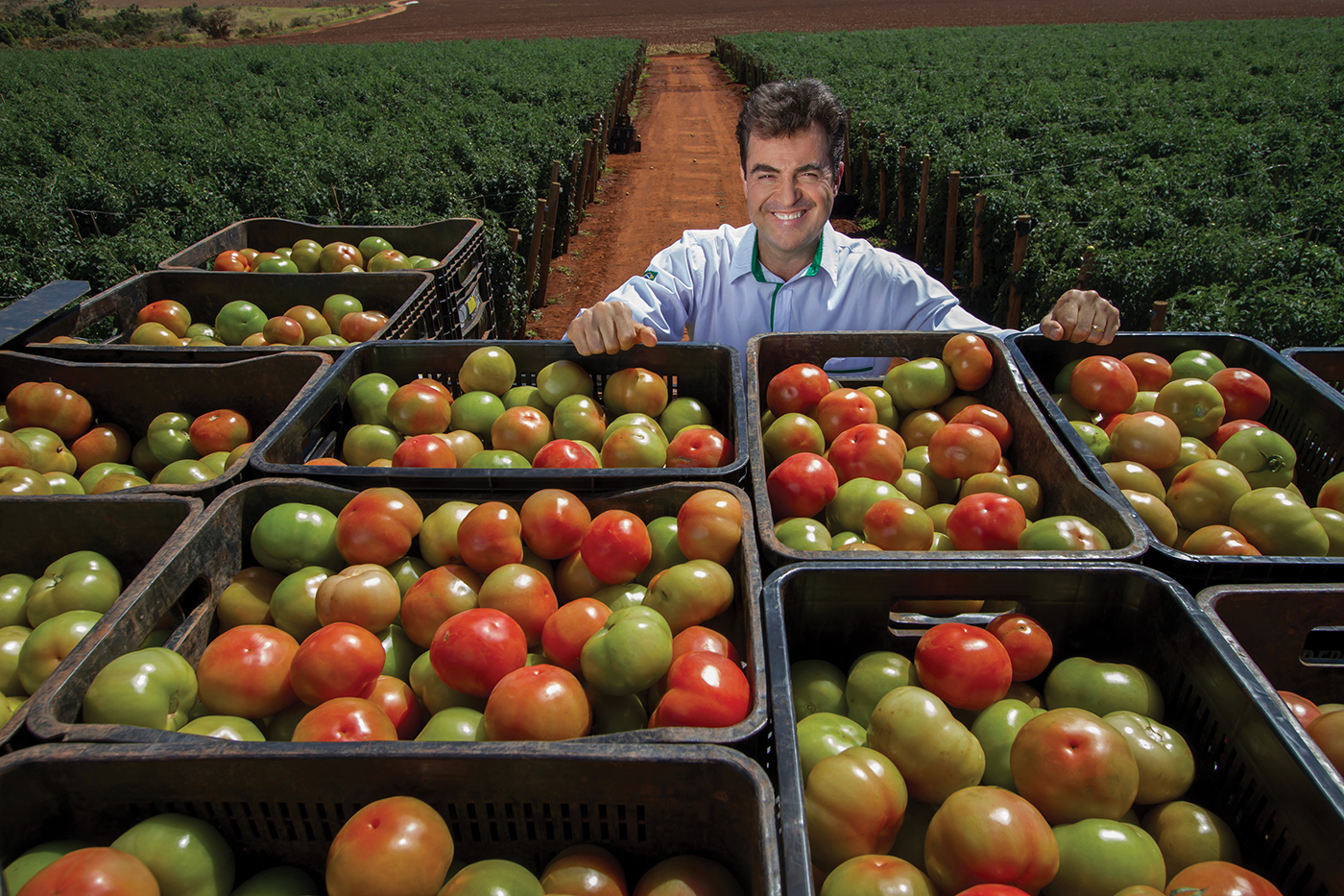 Plant Project Top Farmers Nova Geração Edson Trebeschi