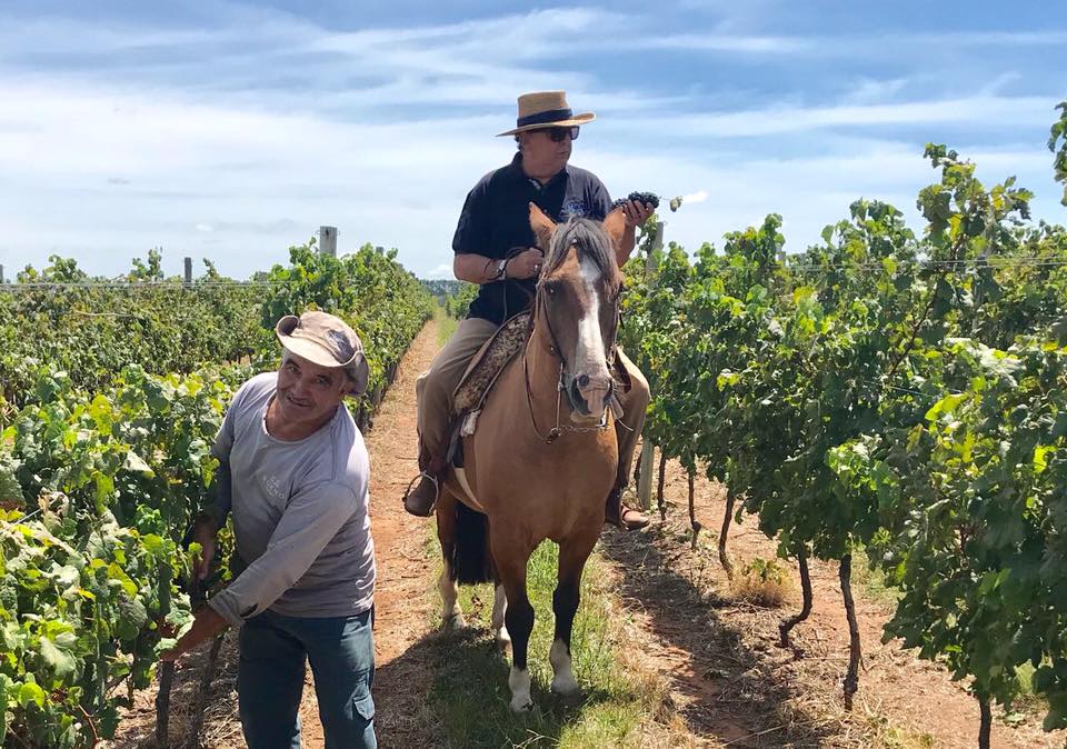 Galvão Bueno andando a cavalo em sua fazenda (Foto Reprodução/Internet)