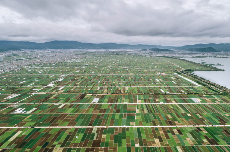 A nova ordem do agro