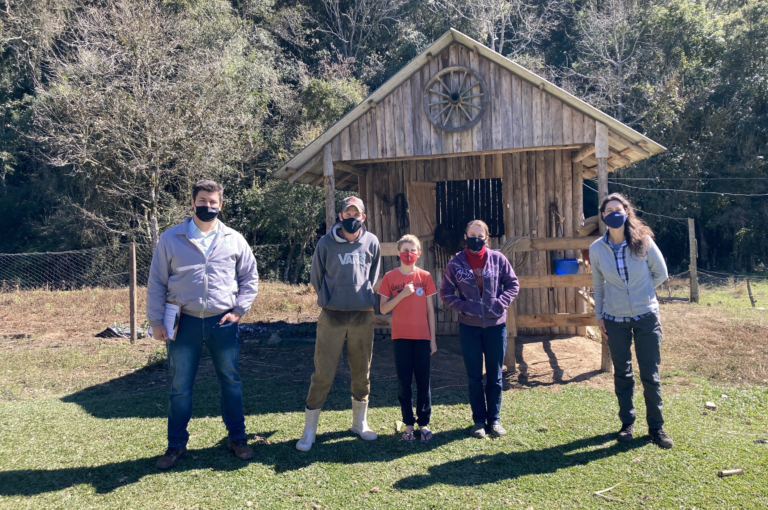 O resgate da Araucária