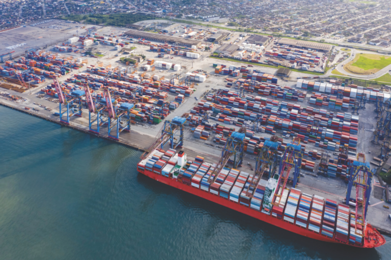 O DILEMA DA PRIVATIZAÇÃO