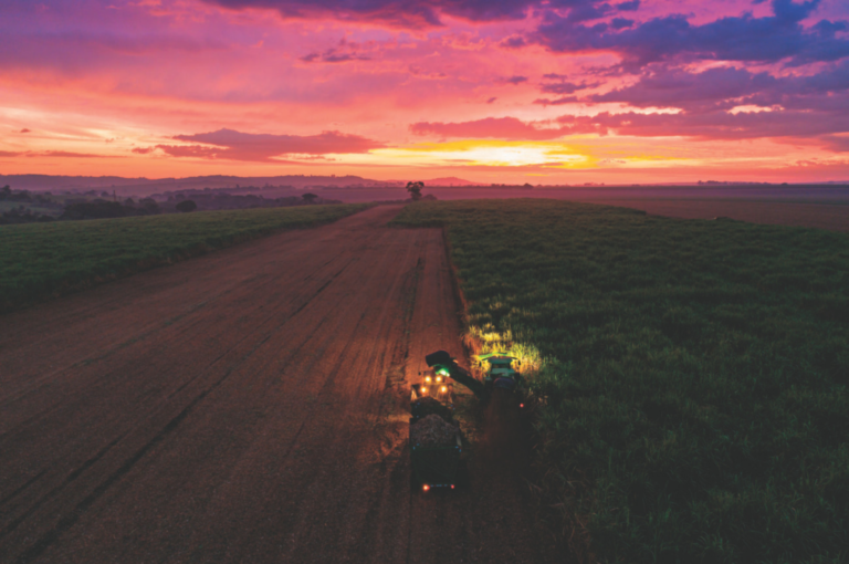 Um ano para plantar e colher
