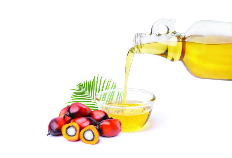 Palmas para a indústria local 