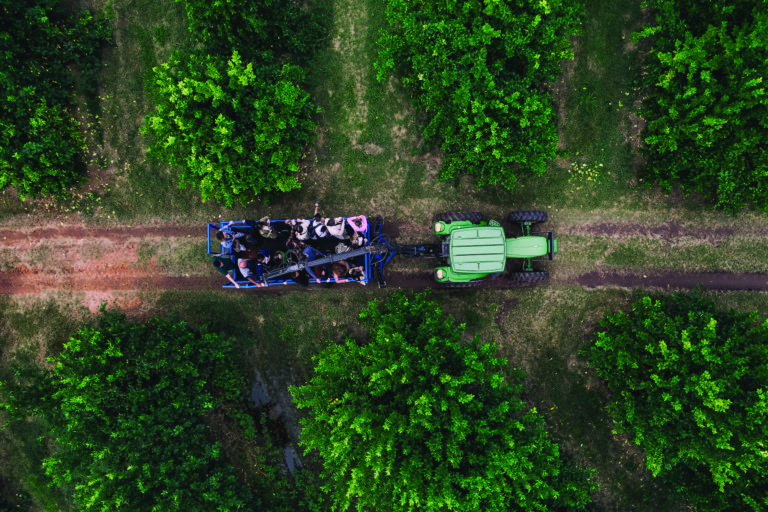 INSPIRAÇÃO BRASILEIRA