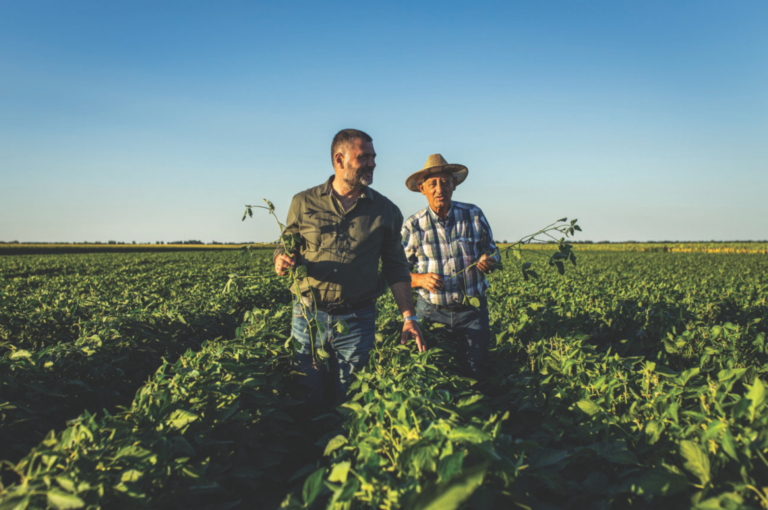 O DILEMA DA CERTIFICAÇÃO