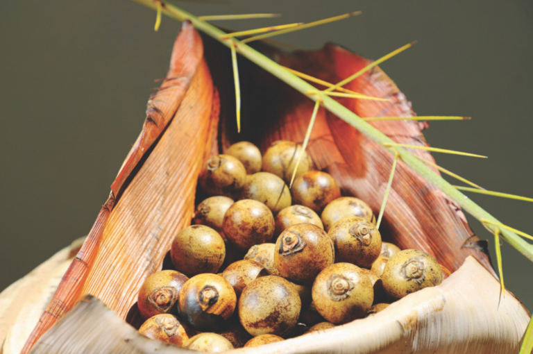 Mil e uma utilidades