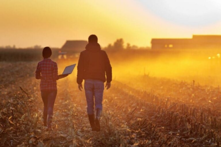 Um horizonte de oportunidades e desafios