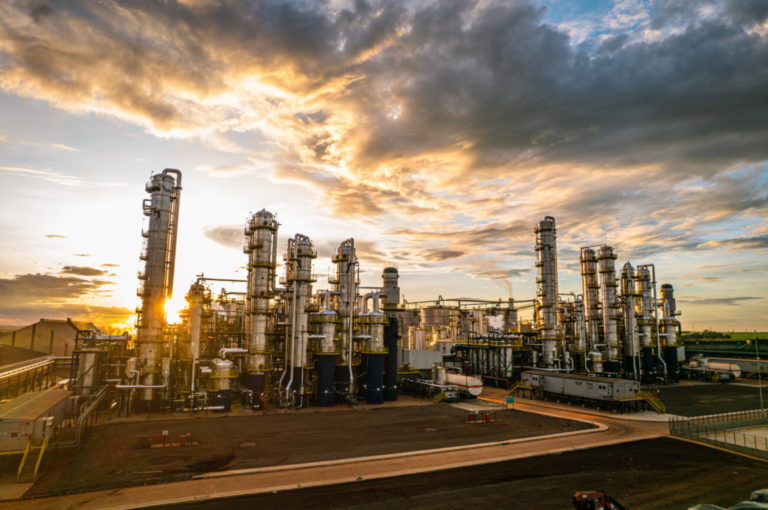 O ALVORECER DA ECONOMIA SUSTENTÁVEL