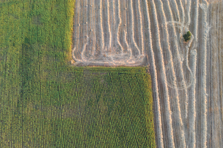 O desafio da produtividade