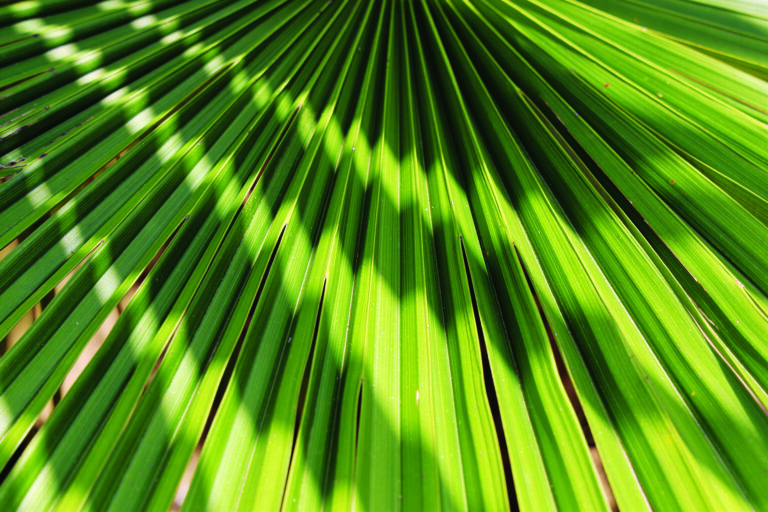 Conquistas em duas frentes