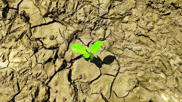 Drones contra a seca