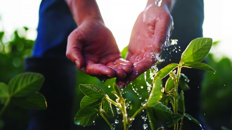 O REJUVENESCIMENTO DO AGRO BRASILEIRO: UM MODELO PARA O MUNDO