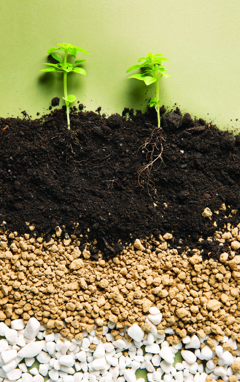 A revolução dos biológicos