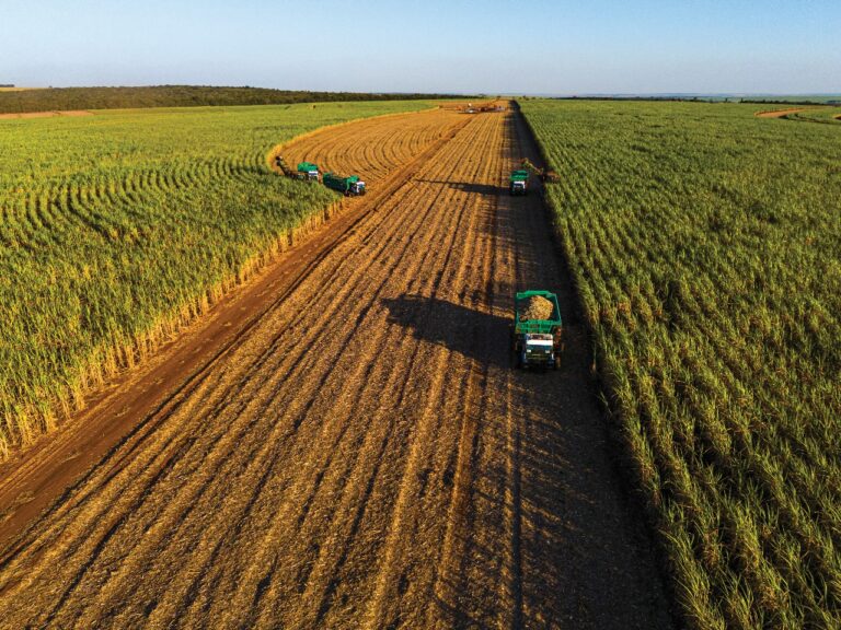 Atvos se consolida como referência global em energia limpa