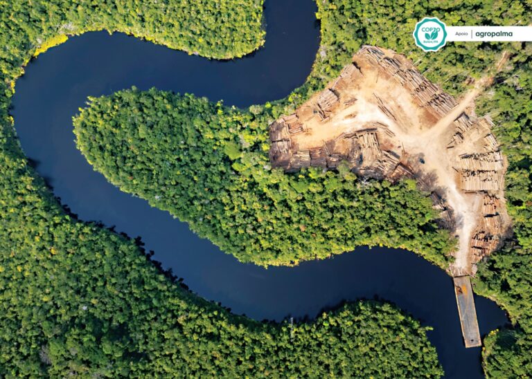 O agro na vitrine global