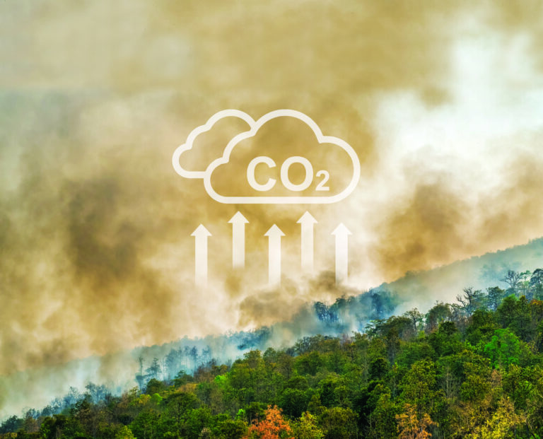 Corrida contra o tempo 