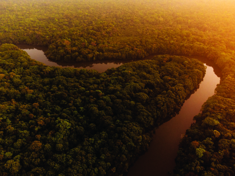 Um novo pacto pelo verde 
