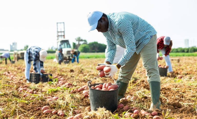 O fim da discriminação? 