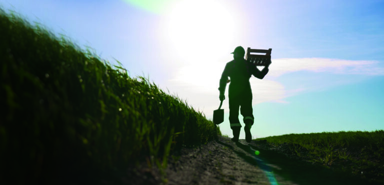 A força do território 