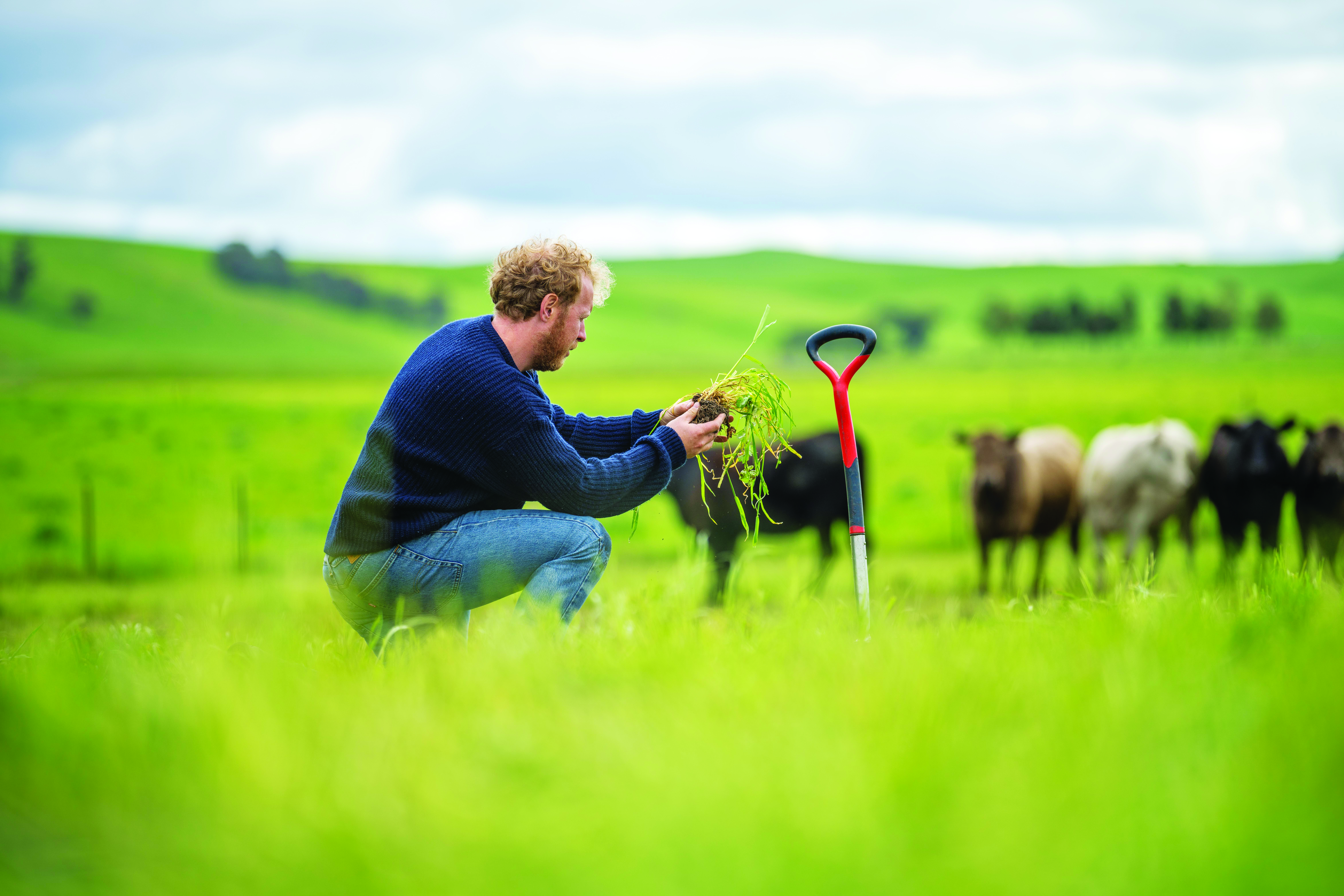 Das pistas de dança para a fazenda 