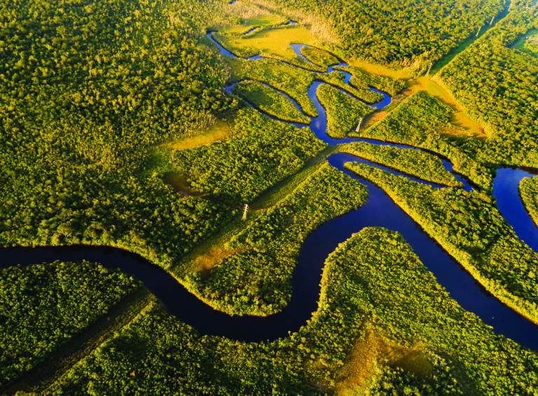 A Amazônia guia o futuro 