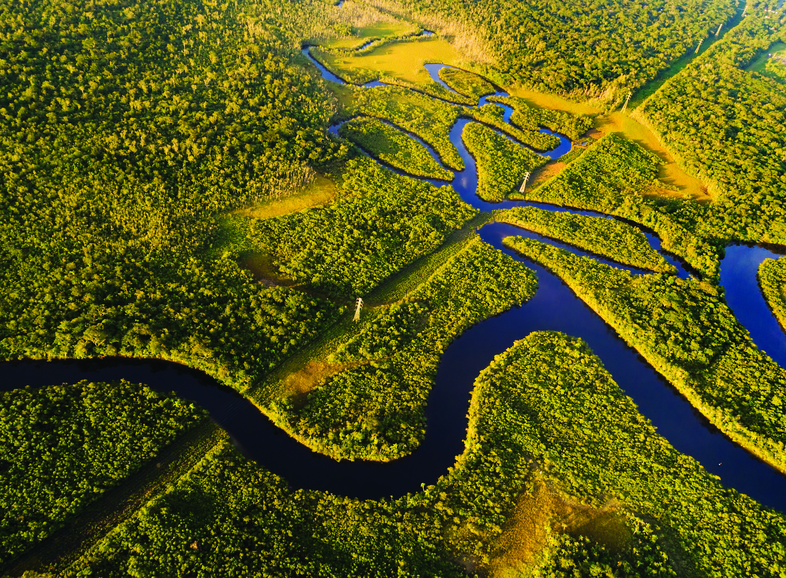 A Amazônia guia o futuro 