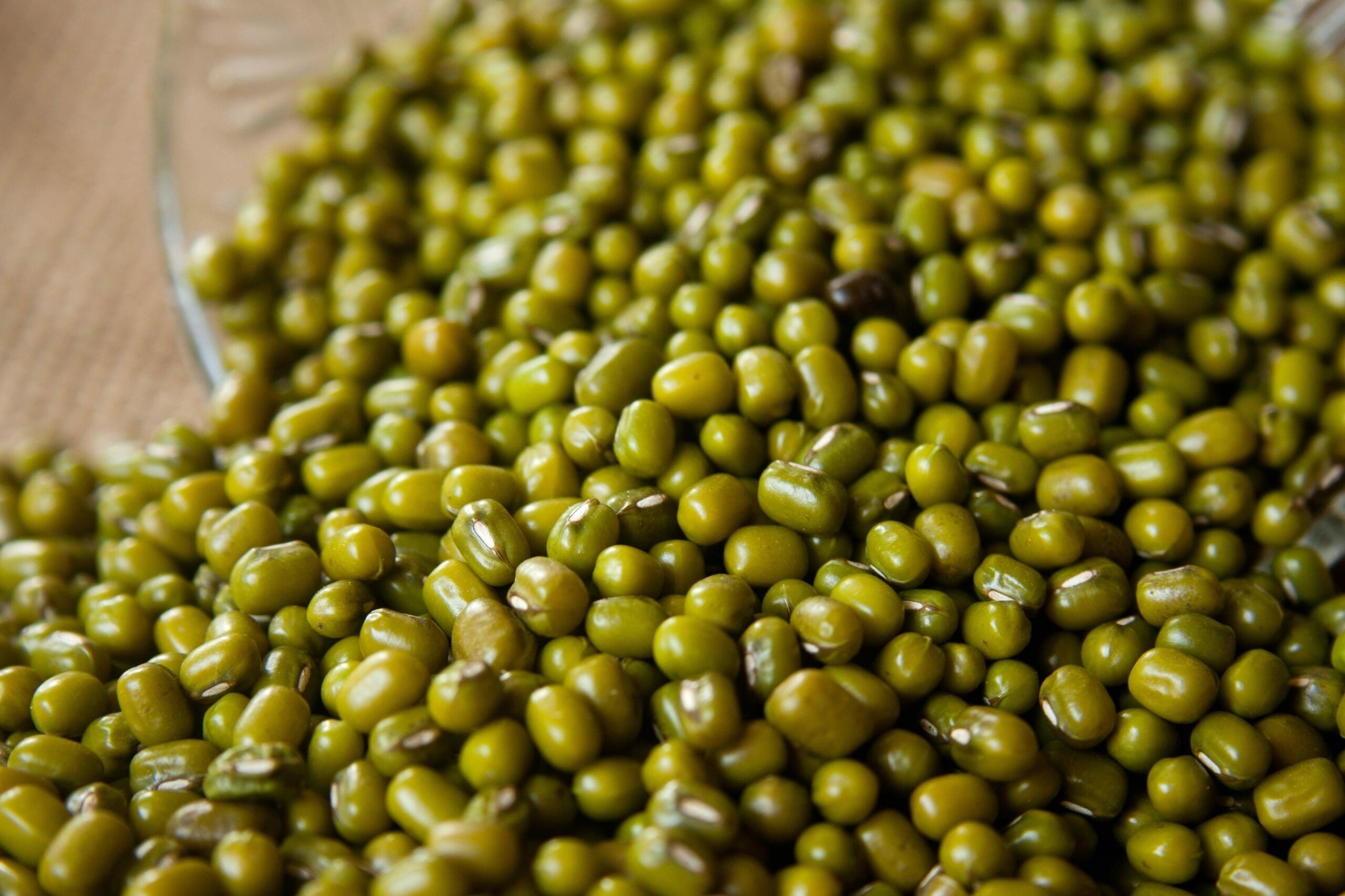 Investimento nutritivo 