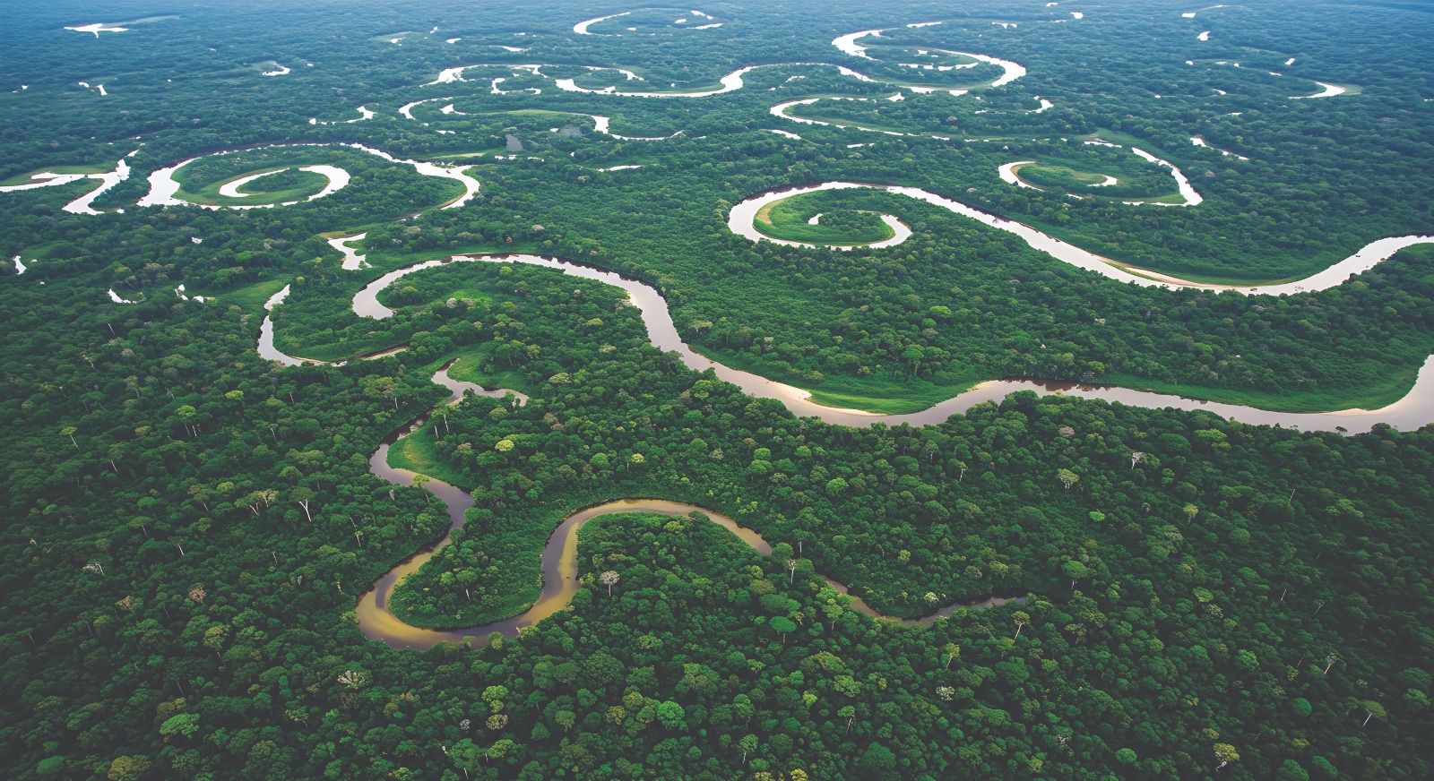 O agro que mantém a floresta em pé
