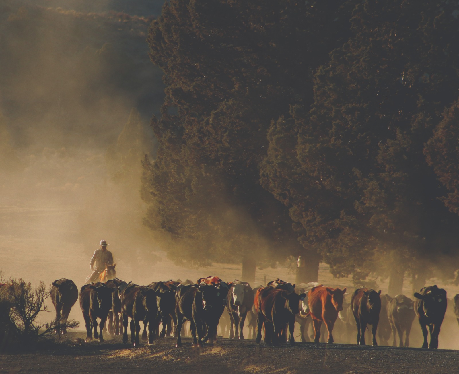 O agro pede passagem