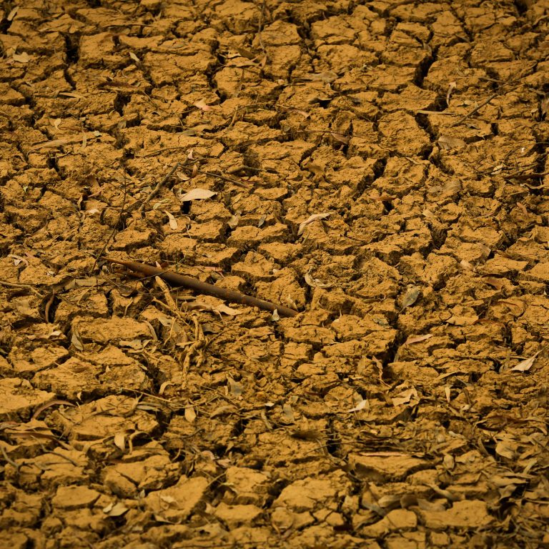 Foto: Wenderson Araujo/CNA