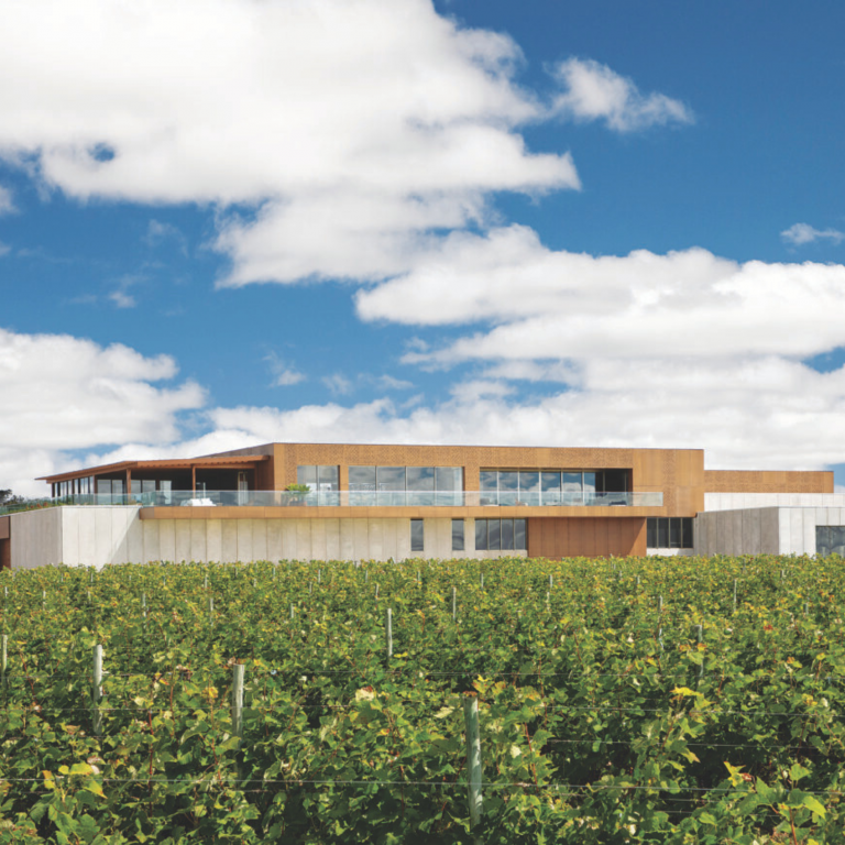 A ARQUITETA DO VINHO