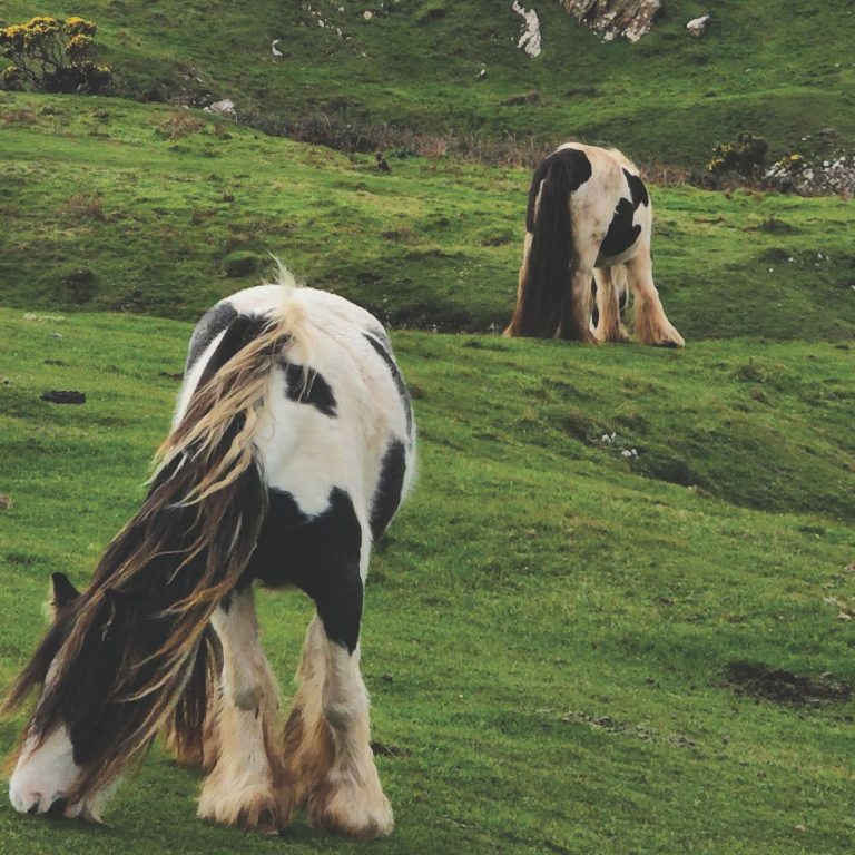 Cópia de pais de Gales