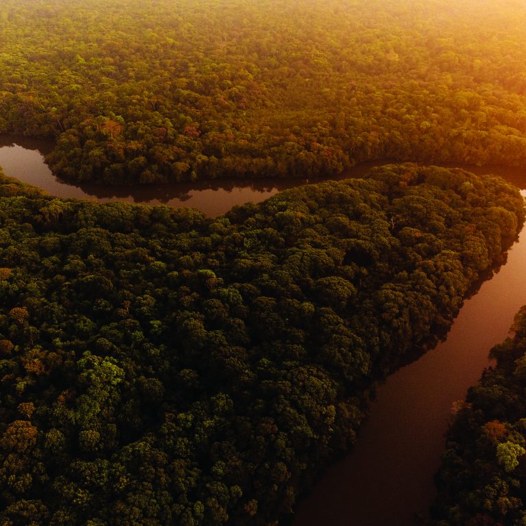 Drone_Floresta Preservada_Agropalma