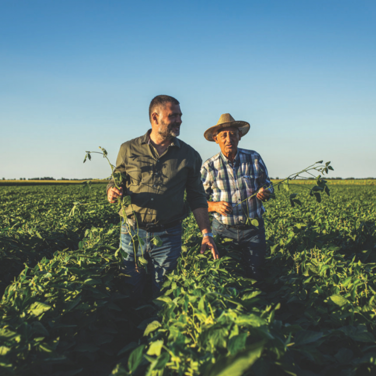 O DILEMA DA CERTIFICAÇÃO