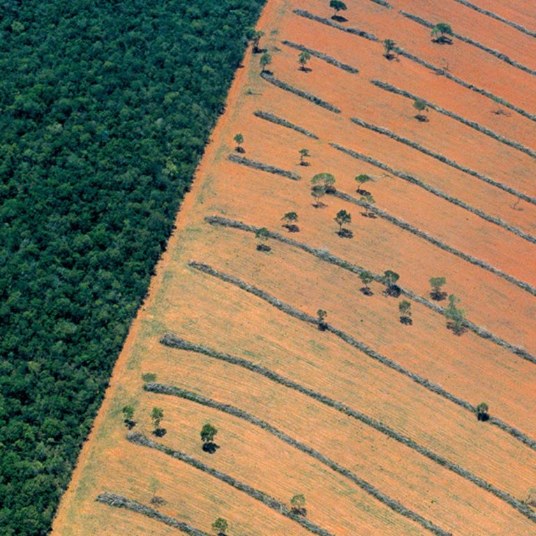 Onde ambiente e produção andam juntos