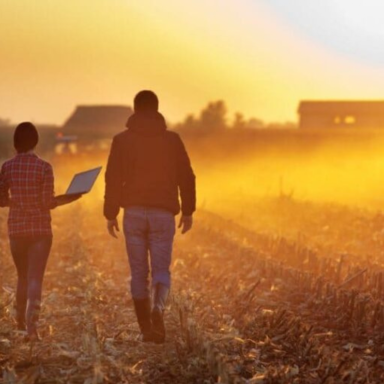 UM HORIZONTE DE OPORTUNIDADES E DESAFIOS