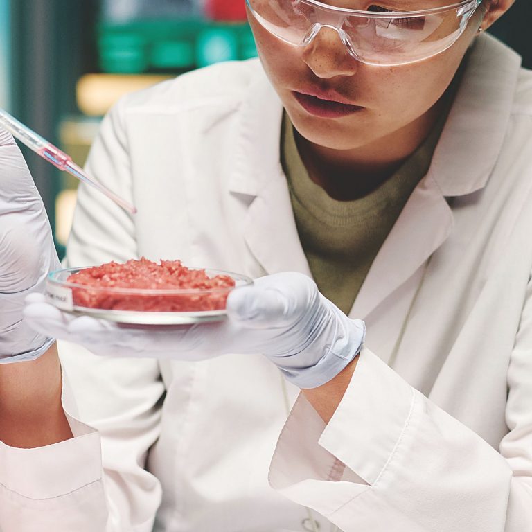 USA A carne (de laboratório) é fraca