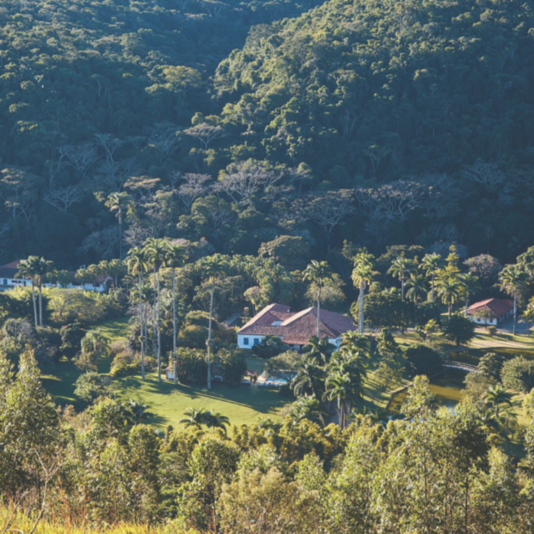a agrofloresta da Almeida Braga