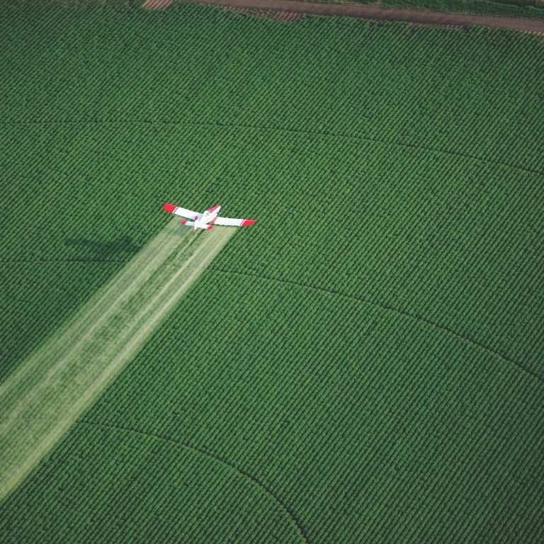 a escalada do biocontrole