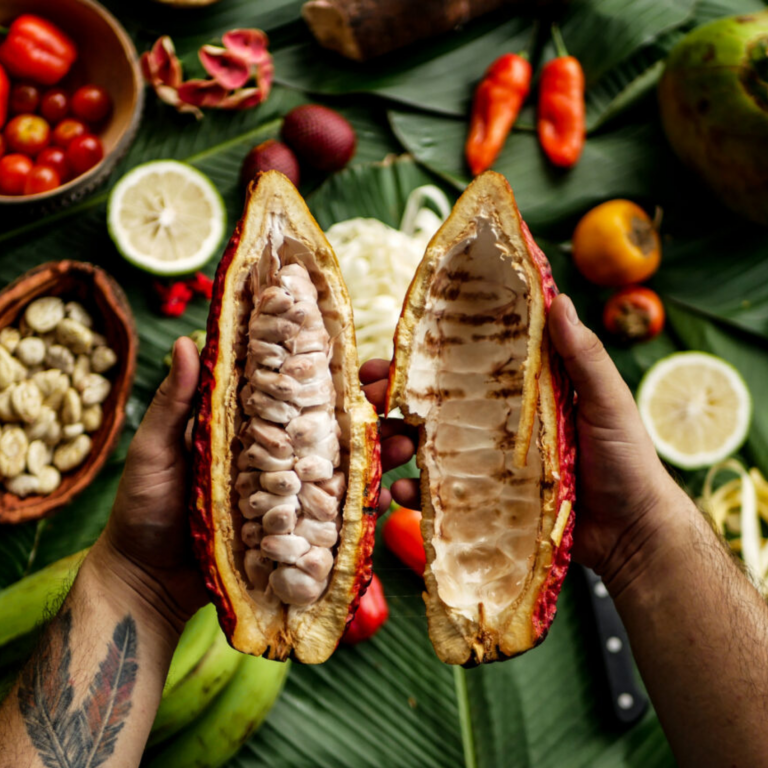 a sabedoria dos priemiros agricultores