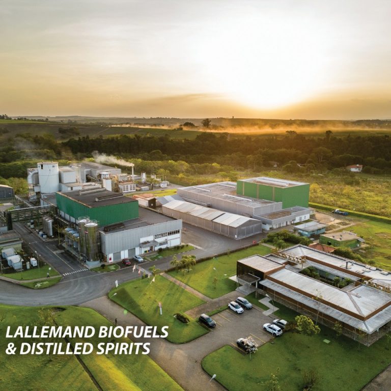 cca4b66f-ae8a-4897-9991-c519eb4bdca9