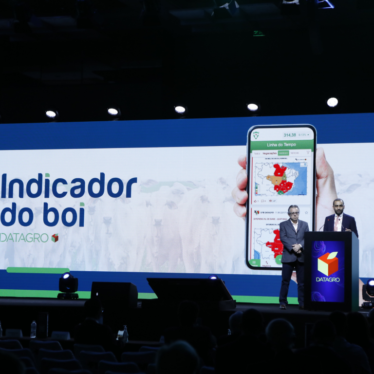 indicador do boi