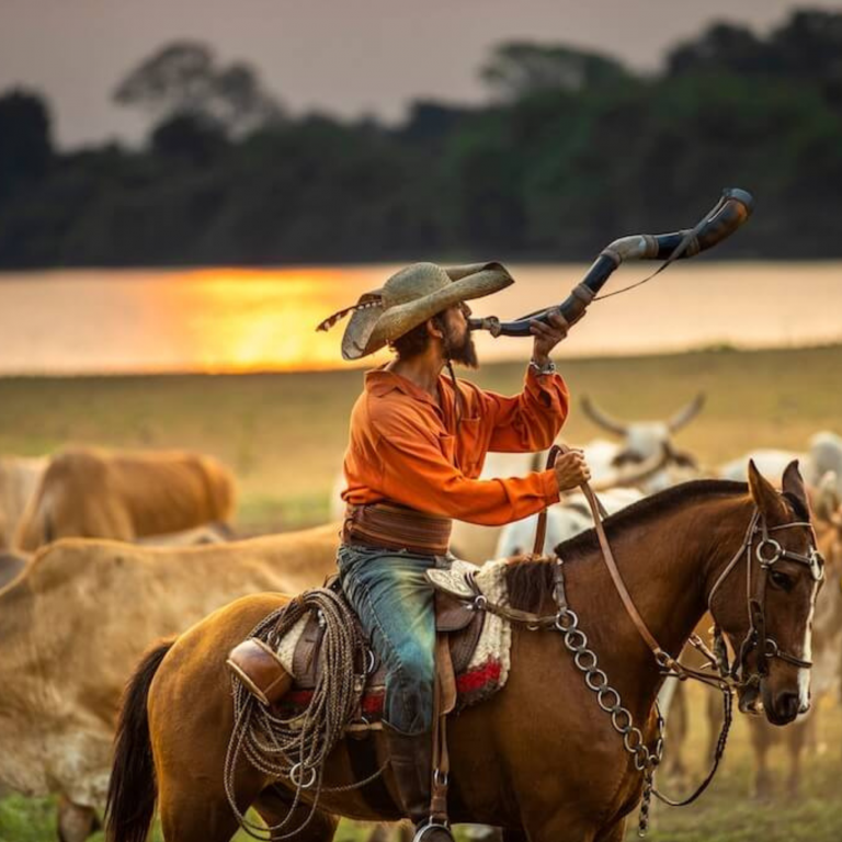pantanal