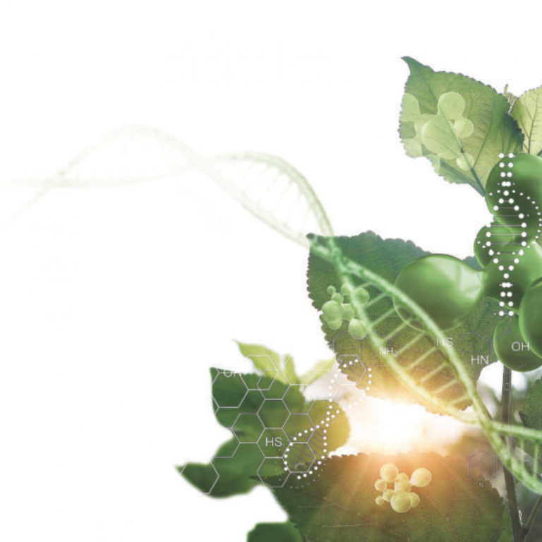 para plantar dna