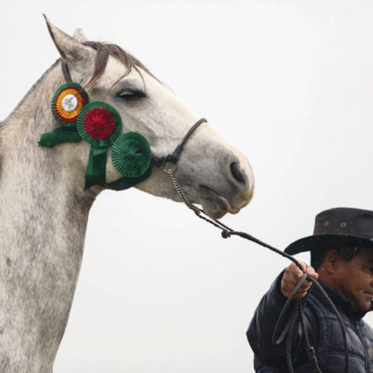 por dentro da cidade Expoentier
