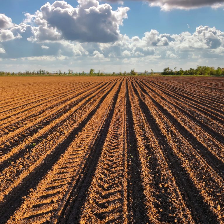 Preparing field for planting. Plowed soil  in spring time with blue cloudy sky.