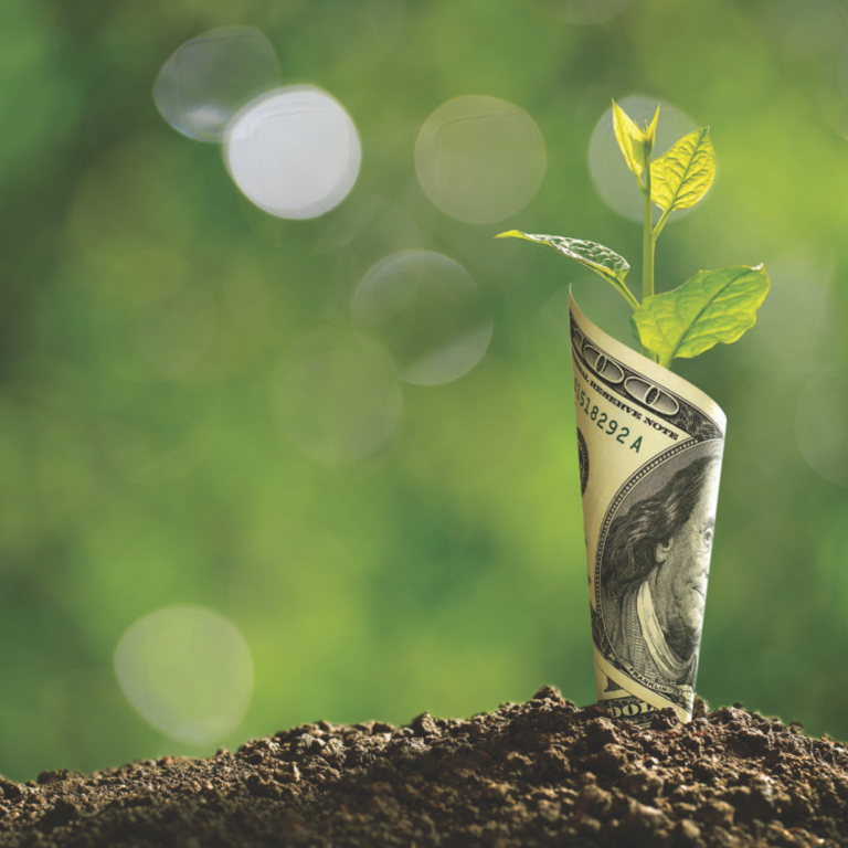 reino unido - o agro é pop