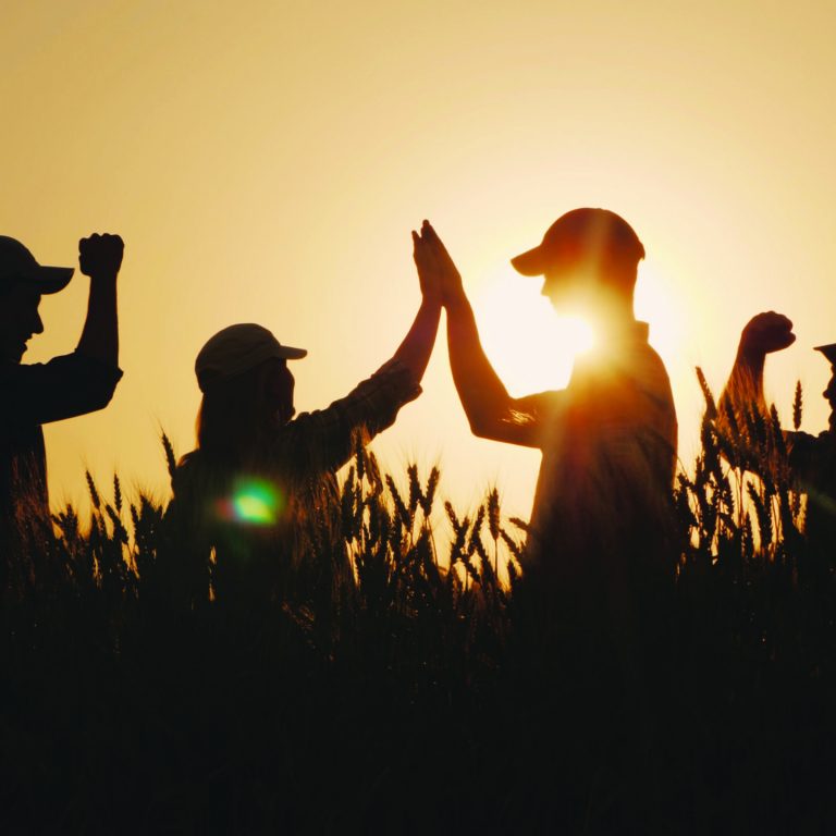 A group of young farmers makes the mark high five in a field of wheat. Success in agribusiness