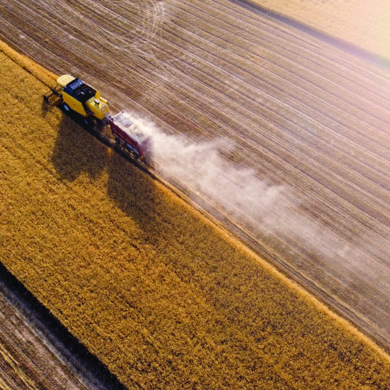 Harvesting,Machine,Working,In,The,Field.,Top,View,From,The